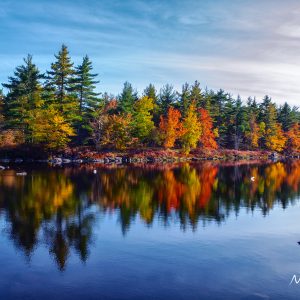 Fine Art Prints