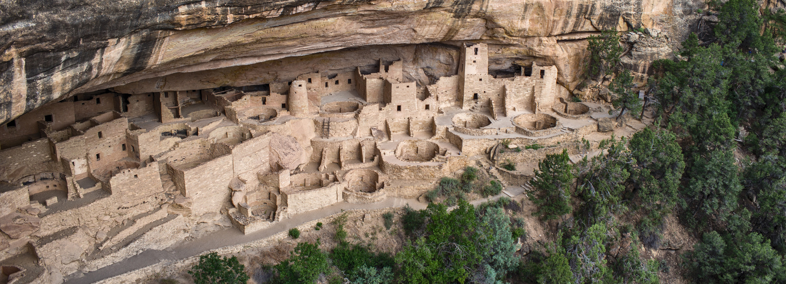 Mesa_Verde_head